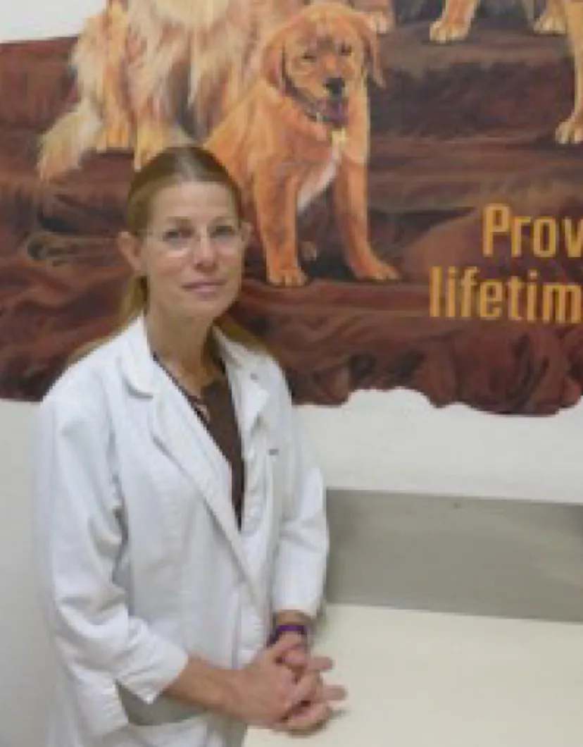 Dr. Karen Peyser at Channel Islands Veterinary Hospital / Las Posas Veterinary Medical Center